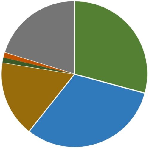 Employment Statistics pie chart